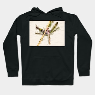 Dragonfly Watercolor Portrait Hoodie